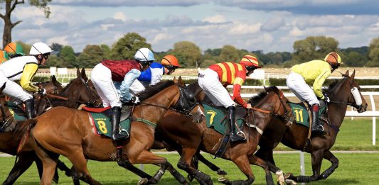Legalny bukmacher Traf-Zakłady Wzajemne
