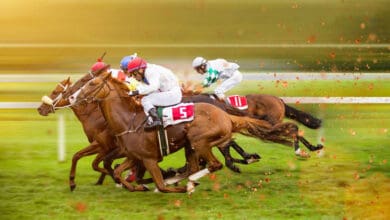 obstawianie wyścigów konnych u bukmachera