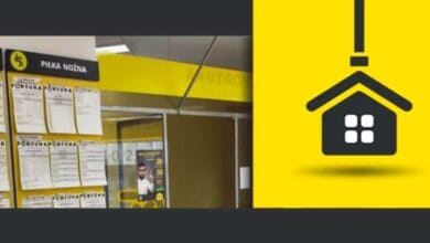 Fortuna Gorzów Wielkopolski. Adresy, oferta, godziny otwarcia