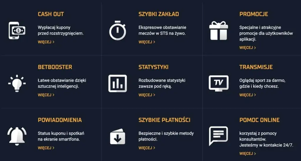 STS aplikacja na telefony. Najważniejsze cechy programu