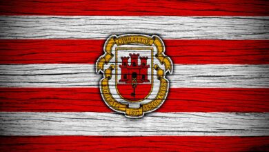 Magpie - Lions Gibraltar: Typy, kursy, gdzie oglądać? 15.12.2022 (czwartek)