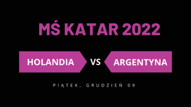 typy holandia argentyna